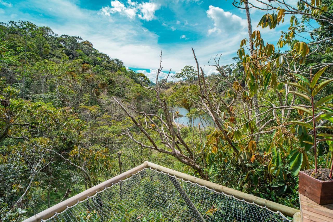 Bubblesky Glamping Campo de lujo