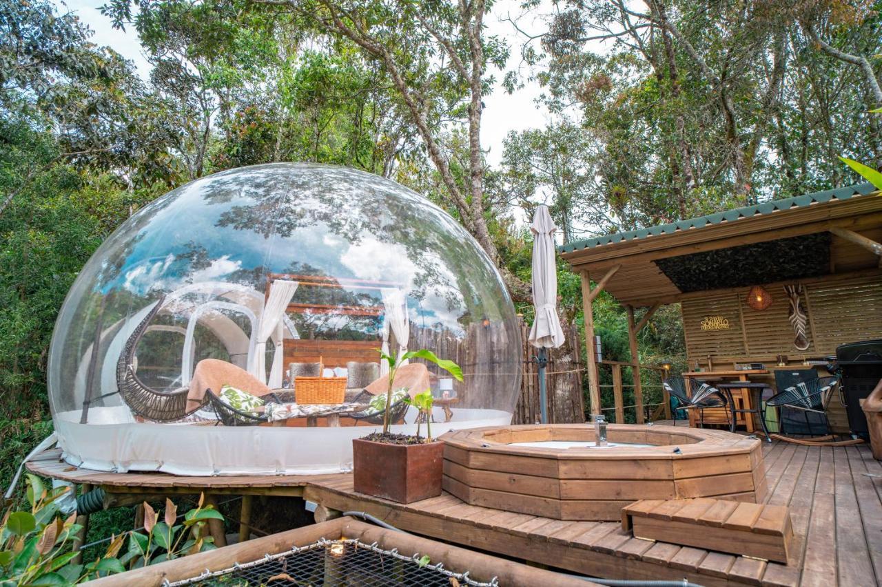 Bubblesky Glamping