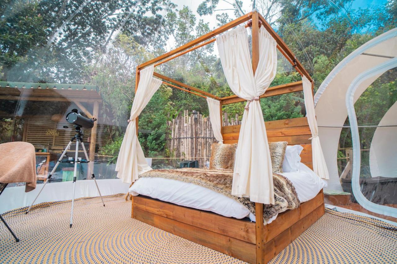 Bubblesky Glamping Campo de lujo
