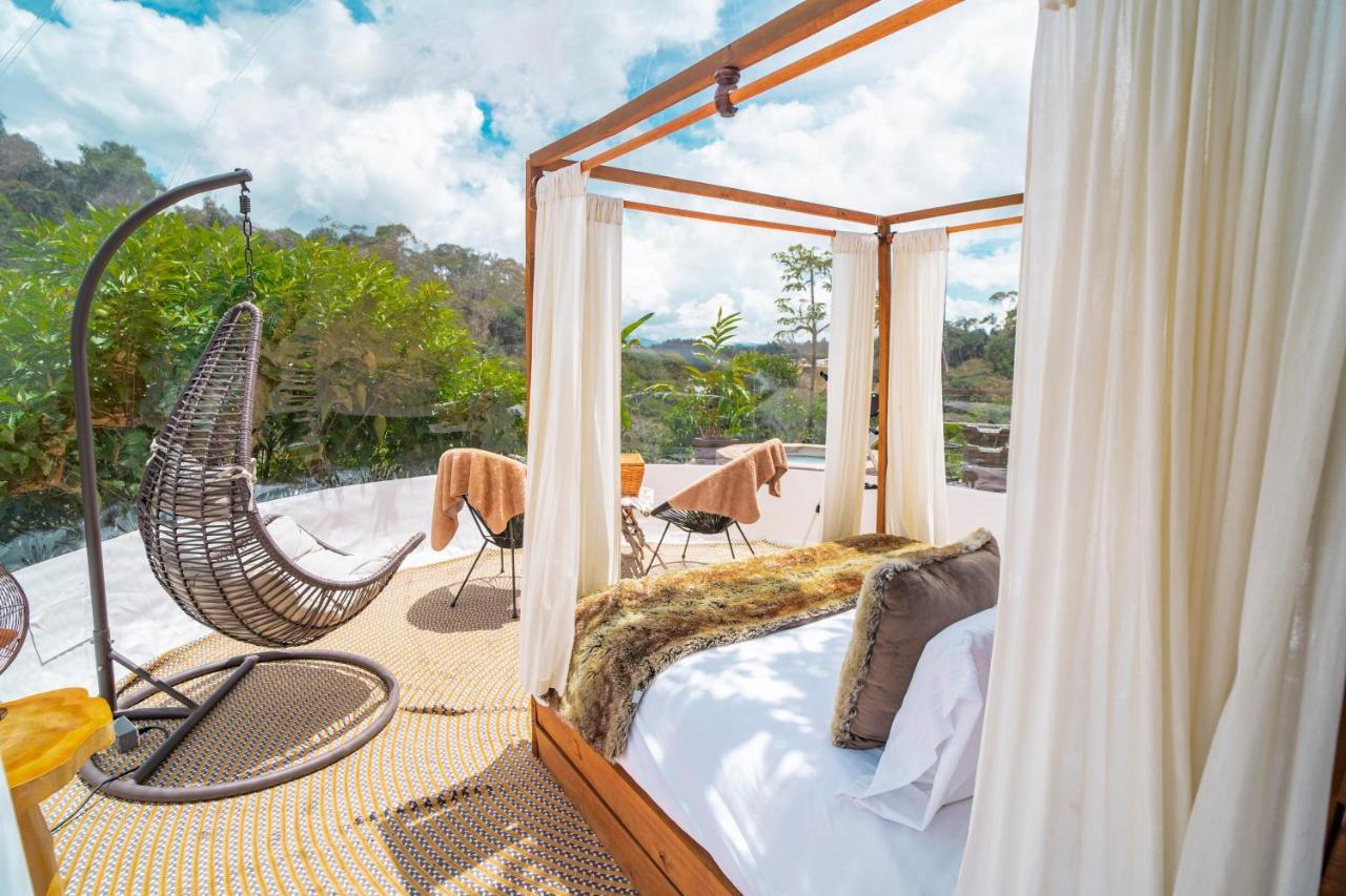 Campo de lujo Bubblesky Glamping