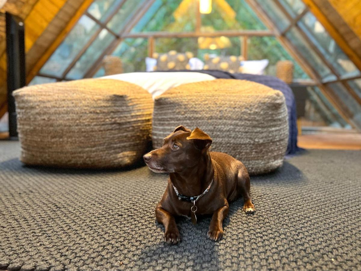 Bubblesky Glamping 5*