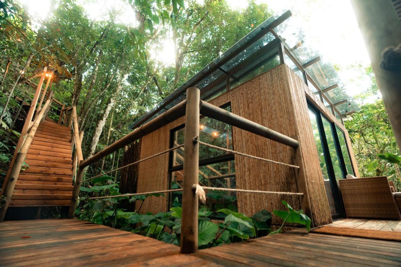 Campo de lujo Bubblesky Glamping 5*