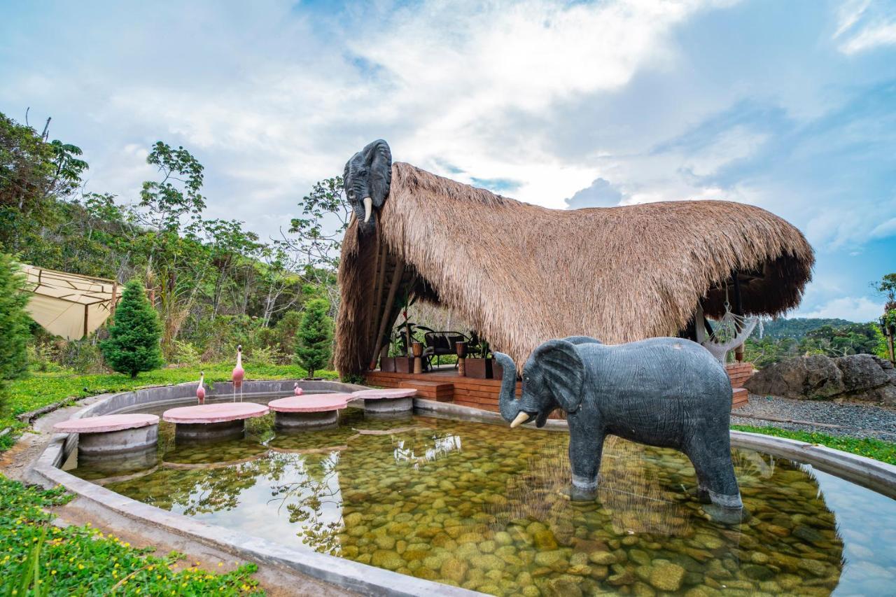 Bubblesky Glamping Guatapé